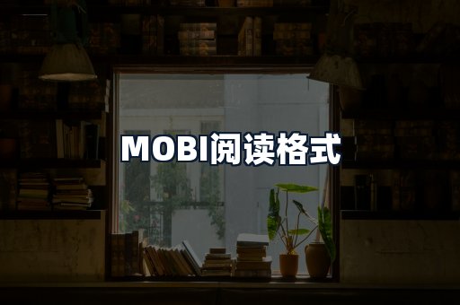 MOBI阅读格式